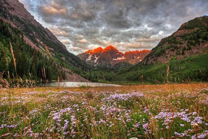 Spring in Marron Bells