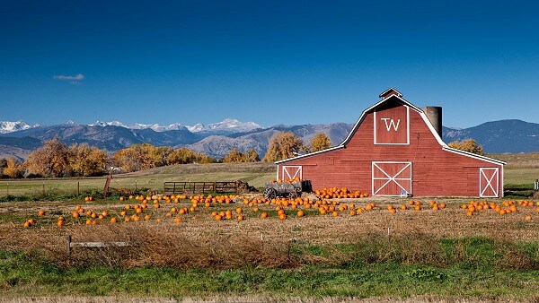 Barn